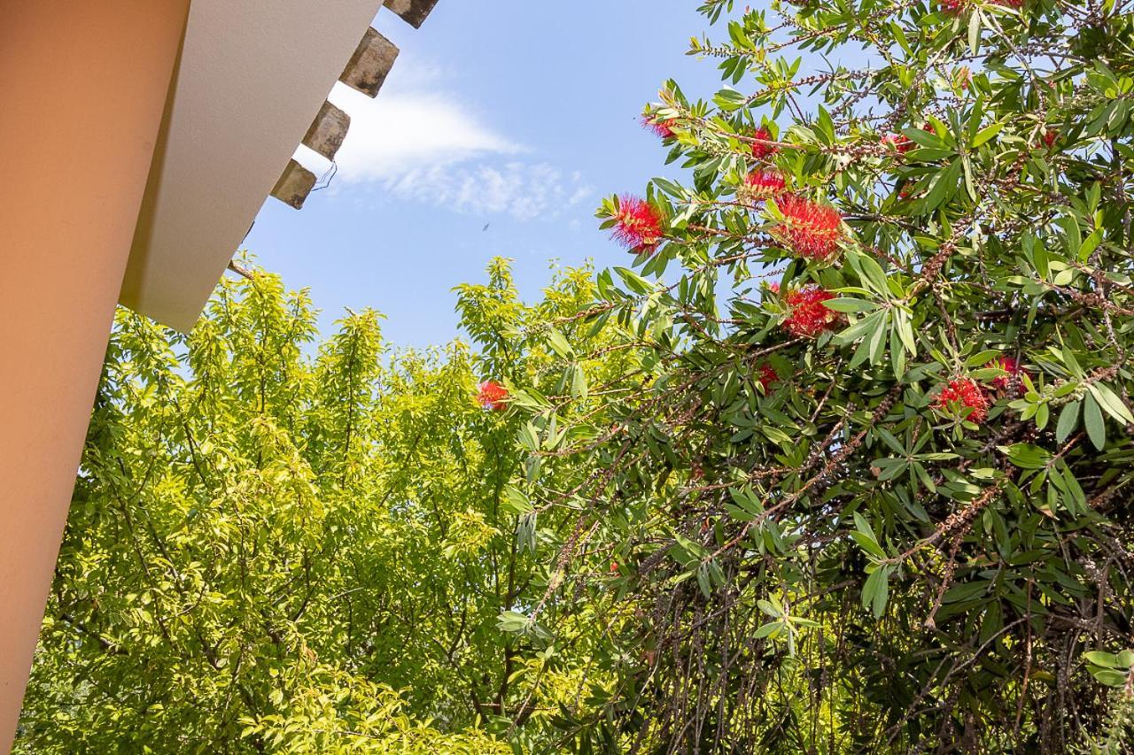 Villa Caterina La Maddalena  Εξωτερικό φωτογραφία